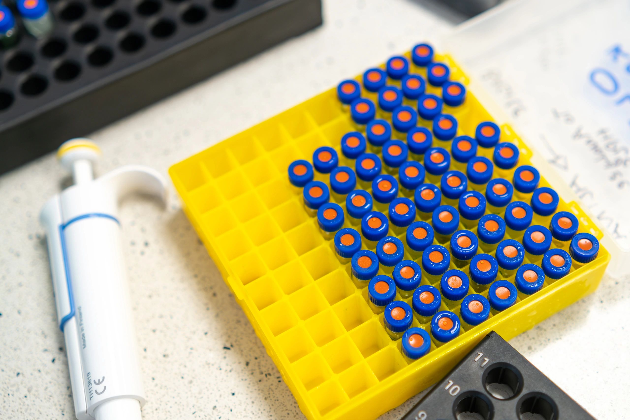 HPLC vials prepared for analysis